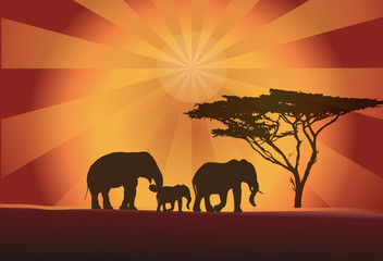 Africa elephants silhouette, tree and sun, vector illustration