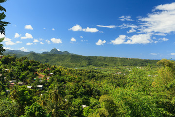 St Lucia Rainforest