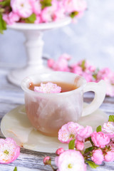 Obraz na płótnie Canvas Beautiful fruit blossom with cup of tea