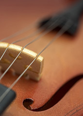 macro image of a wood violin