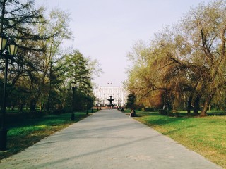 Road in park