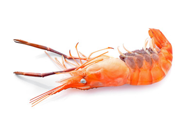 shrimp  isolated on white background
