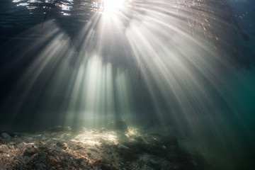 Sunlight and Water