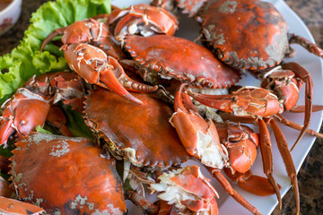 Hot steamed red crab prepare to eat on a plate