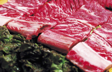 신선한 요리재료