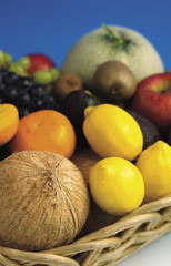 알록달록 과일들