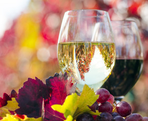 Goldener Herbst: Weinprobe :)
