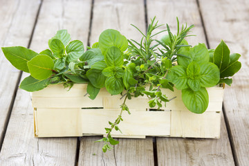 Freshly harvested herbs in a basket