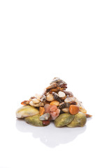 A group of seashells over white background