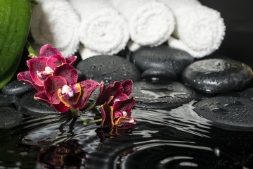 Beautiful spa set of zen stones with drops and blooming twig of
