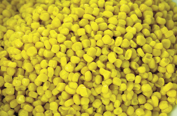 신선한 비타민 채소