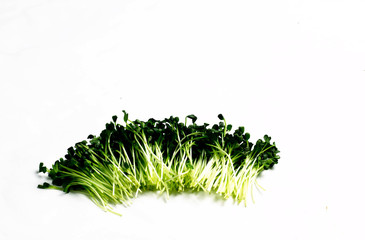 신선한 비타민 채소