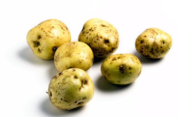 신선한 비타민 채소