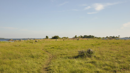 Ronneby, K&uuml;ste,Sch&auml;renlandschaft,Sommer,Schweden