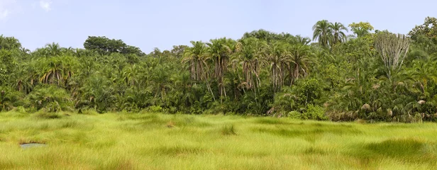 Gordijnen African landscape in Semuliki National Park, Uganda © agap90