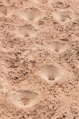 Sand pit traps.