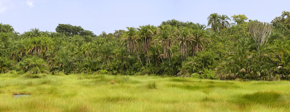 Fototapeta African landscape in Semuliki National Park, Uganda