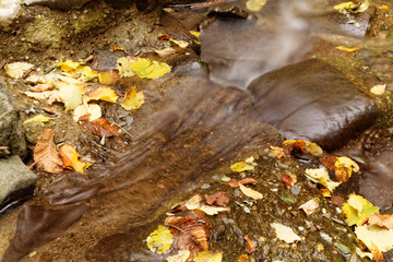 Lake in autumn