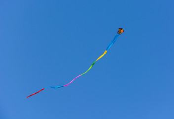 Flying Kite