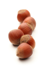 Fresh brown hazelnut