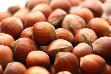 Fresh brown hazelnut