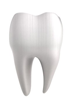 realistic 3d render of human tooth