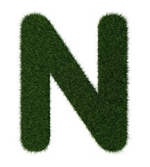 Grass alphabet-N
