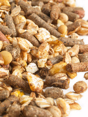 high quality natural sportive  muesli background. for horse. clo