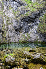 Tauzia the spring source in the mountains of western Romania