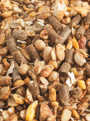 high quality natural sportive  muesli background. for horse. clo