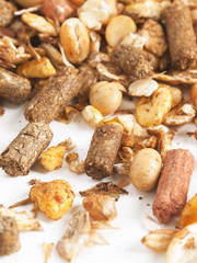 sportive  muesli background. for horse.