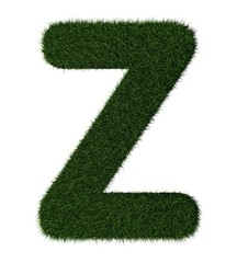 Grass alphabet-Z