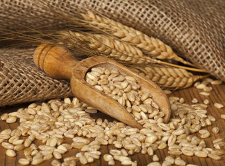 Fototapeta na wymiar Wheat