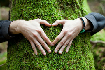 Heart hand on tree with moss, loving the nature