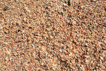 Coast of shell rock and pink-white sand