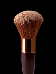 Makeup Brush and Powder