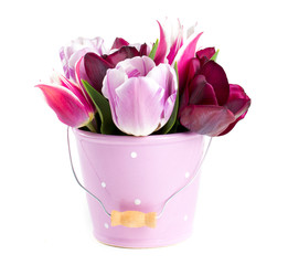 bouquet of tulips in a bucket