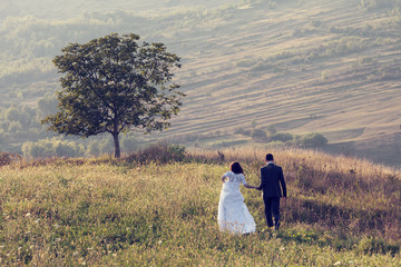 Fototapeta premium Young wedding couple holding near a tree