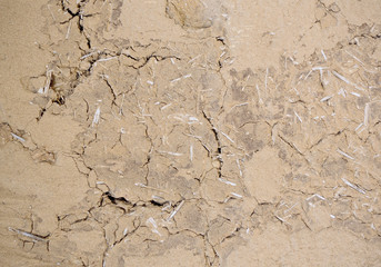 Fototapeta premium 한국 전통문양