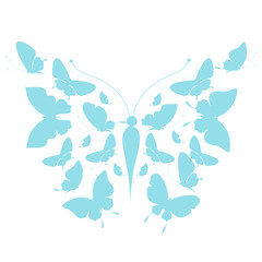 Fototapeta premium butterflies design