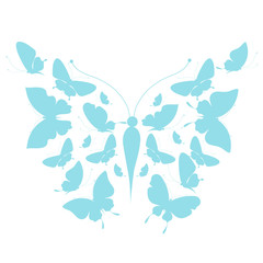 butterflies design