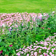 Beautiful flowerbed in summer park