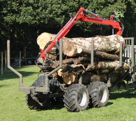 An Agricultural Trolley for Moving Forestry Timber.