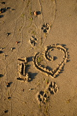 napis na piasku, Kocham psy © profit111