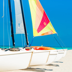 Catamarans with colorful sails on a tropical beach