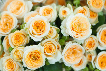 Obraz na płótnie Canvas roses bouquet