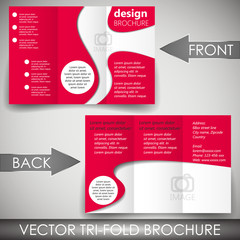 Tri-fold corporate business store brochure