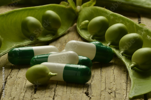 measuring the success of pisum sativum measuring the success of pisum sativum
