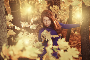 Naklejka na ściany i meble young woman at windy fall forest