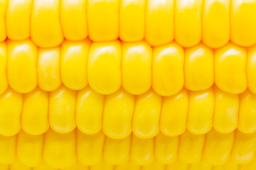 corn background